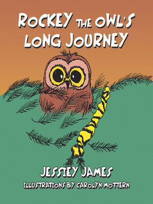 cover image of Rockey the Owl's Long Journey